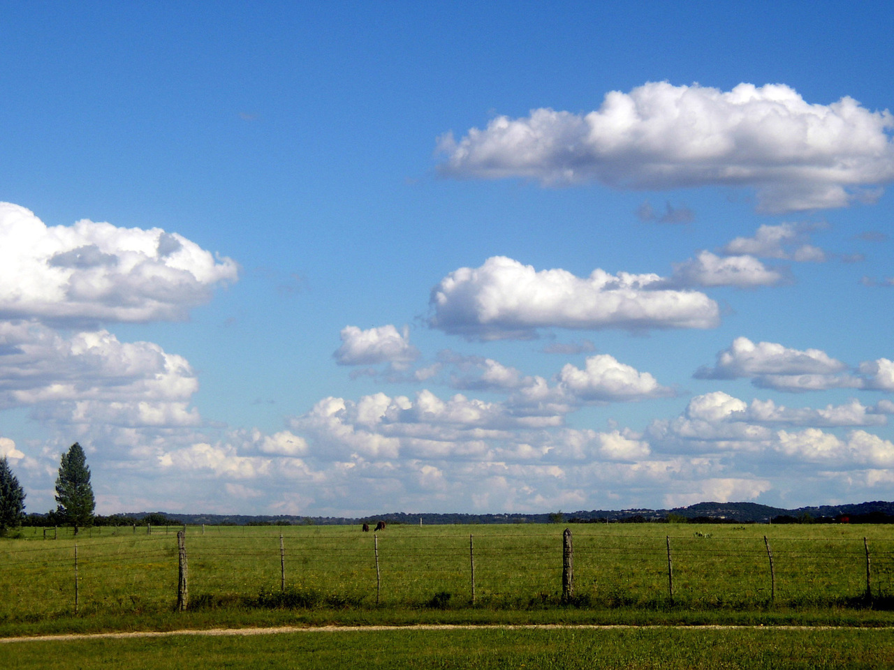 Farmland with blue sky