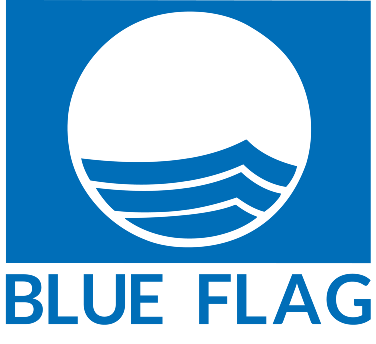 The blue flag logo