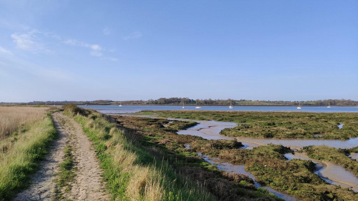 A landscape photo of the River Orwell, with a riverside footpath in the foreground, leading into marshes and the river. Boats are on the river under a blue sky.