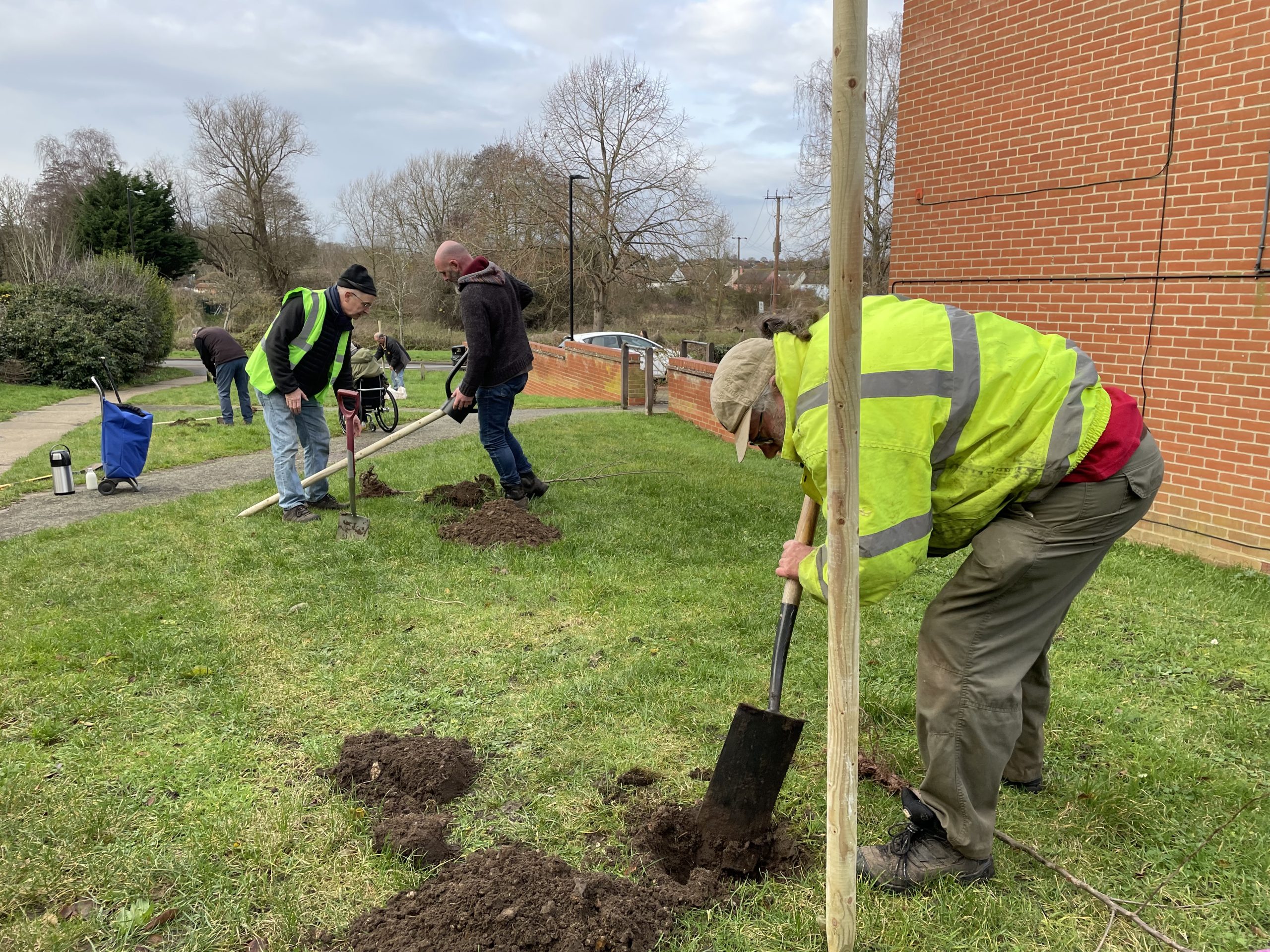 Tree Planting at a Community Orchard